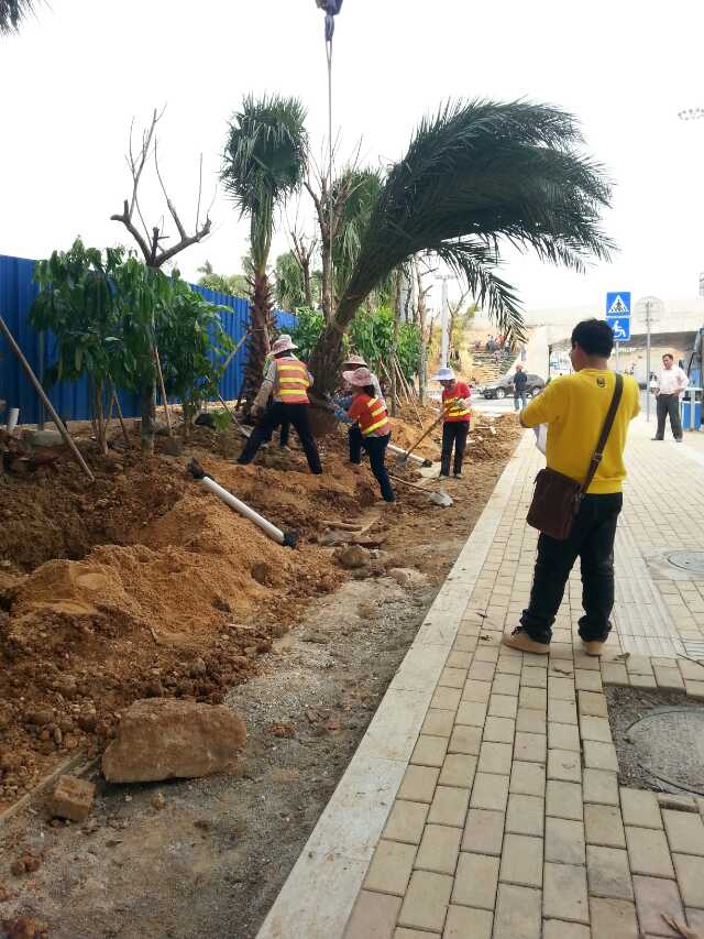 南宁白沙星光立交设计及施工