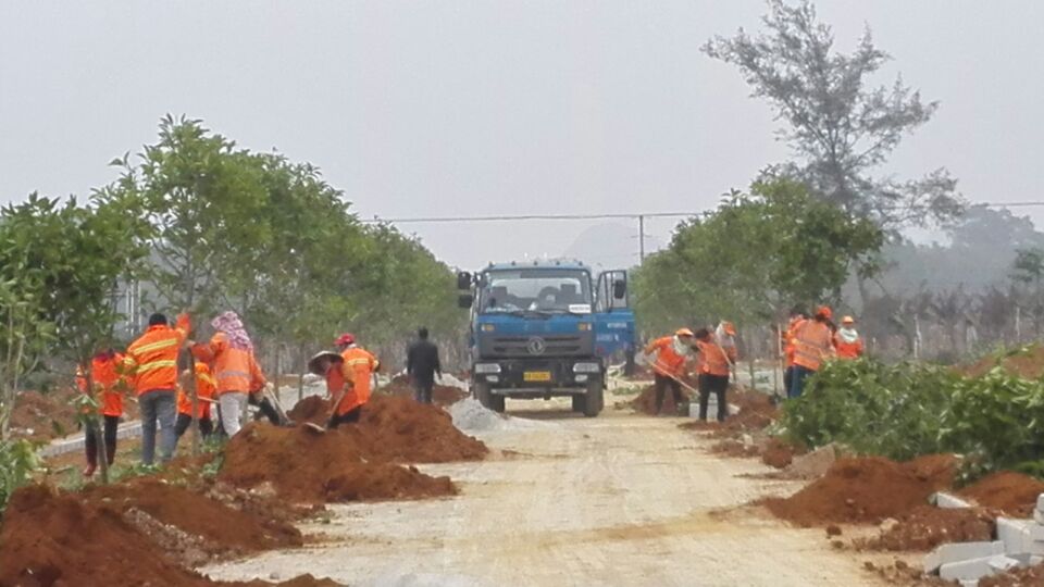 广西农业厅水果实验与示范-建园区绿化设计与施工