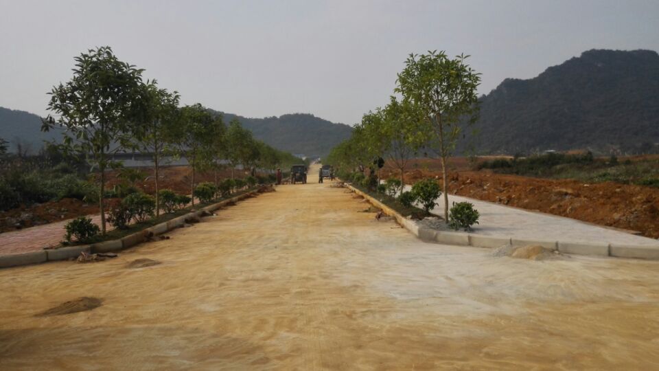 广西农业厅水果实验与示范-建园区绿化设计与施工