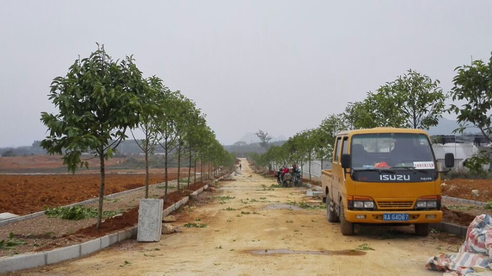 广西农业厅水果实验与示范-建园区绿化设计与施工