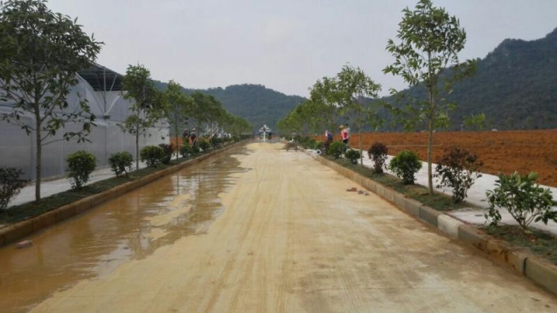 广西农业厅水果实验与示范-建园区绿化设计与施工