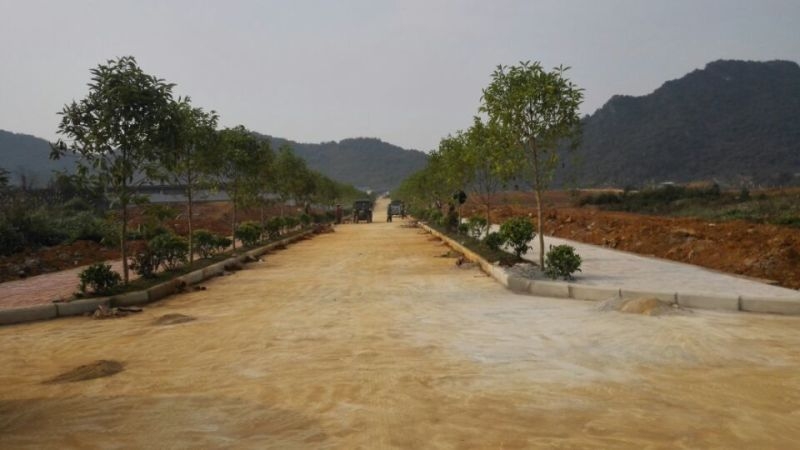 广西农业厅水果实验与示范-建园区绿化设计与施工