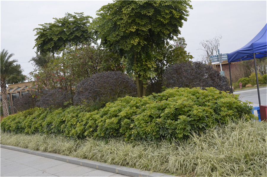 南宁市火车东站北广场项目