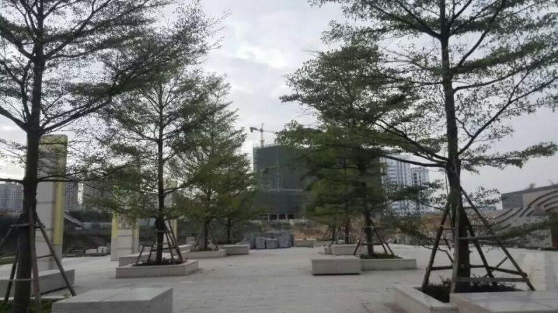 南宁江南公园