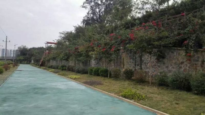 南宁江南公园