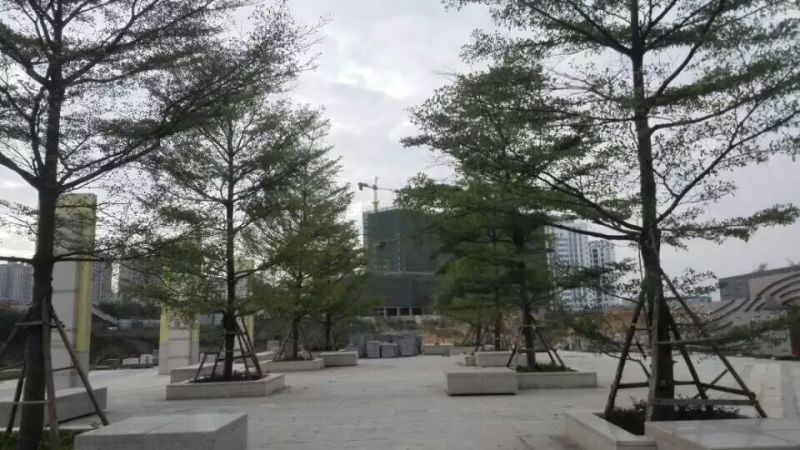 南宁江南公园