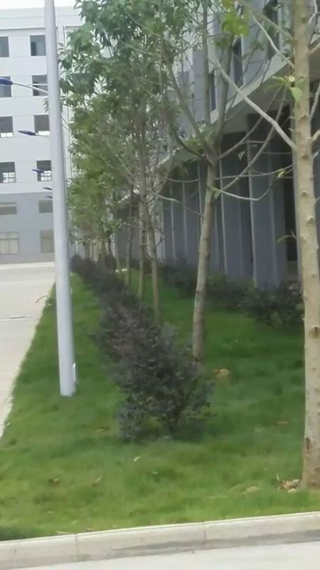 南宁江南企业总部施工及养护