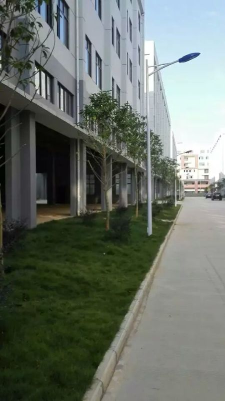 南宁江南企业总部施工及养护