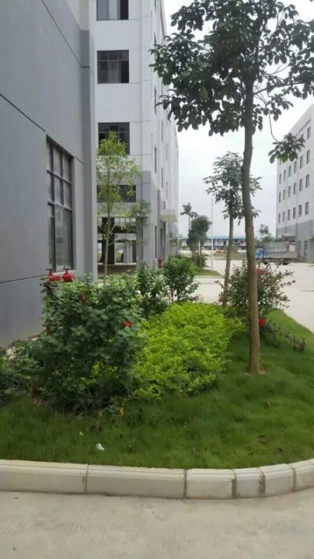 南宁江南企业总部施工及养护