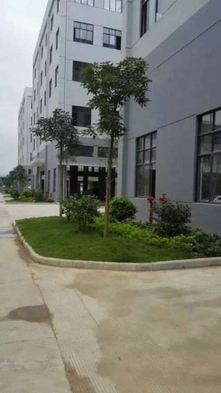 南宁江南企业总部施工及养护