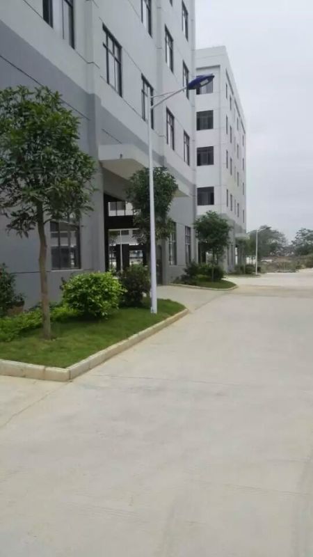 南宁江南企业总部施工及养护