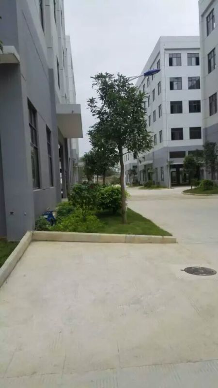 南宁江南企业总部施工及养护