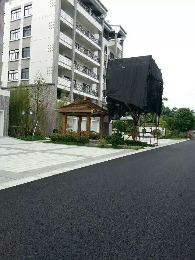 广西自治区政府大院施工及养护